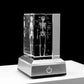 Kristall-Skelett-Würfelmodell, 3D-Lasergravierte menschliche anatomische Statue, Papiergewicht Anatomie Geist, Neurologie, Medizinwissenschaft Geschenk