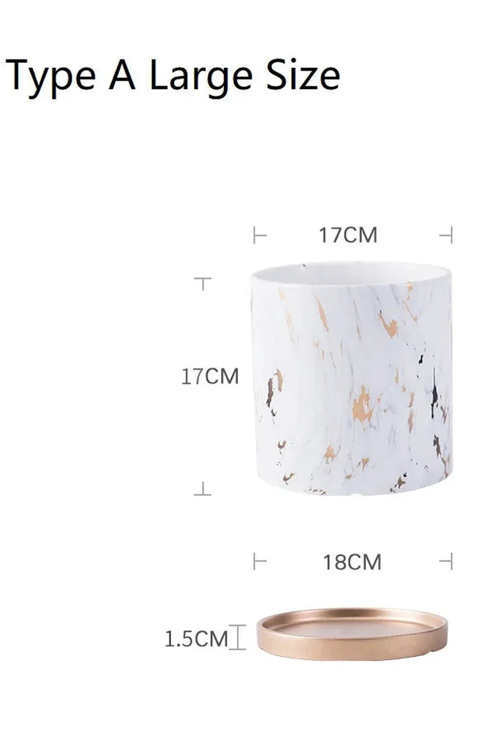 Marmor Goldblatt Pflanzen Topf Set