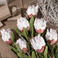 Frendorf | Künstlicher Kaiserblumenstängel
