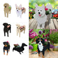 Blumentopf - Pawsome - Hund Pflanzenbehälter - Verschiedene Rassen