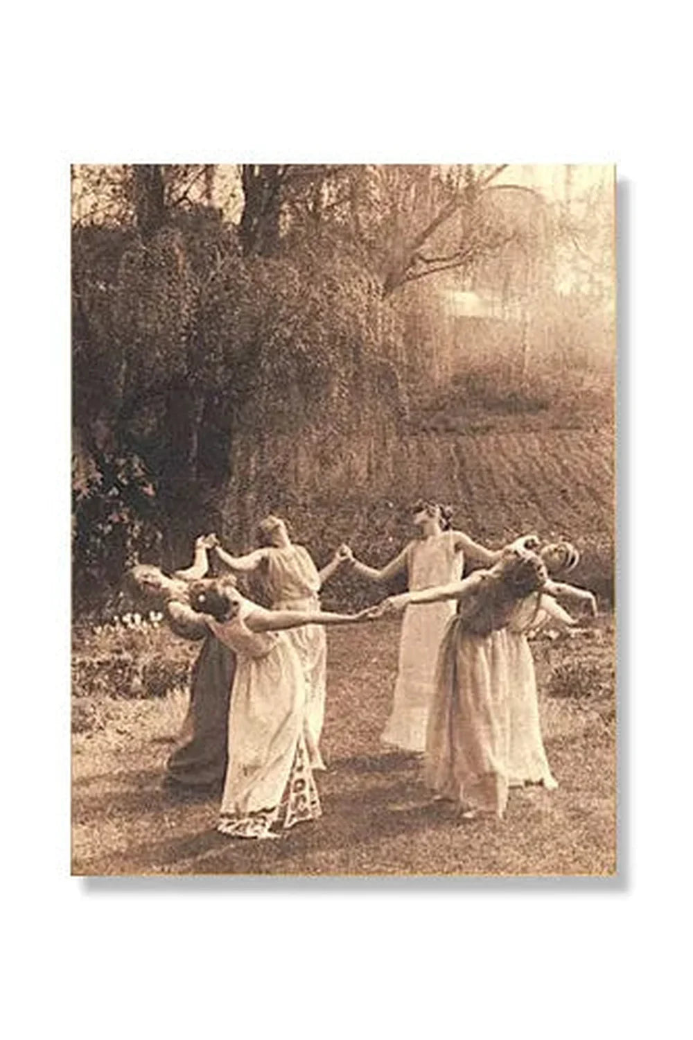 Witch Dance Leinwandposter