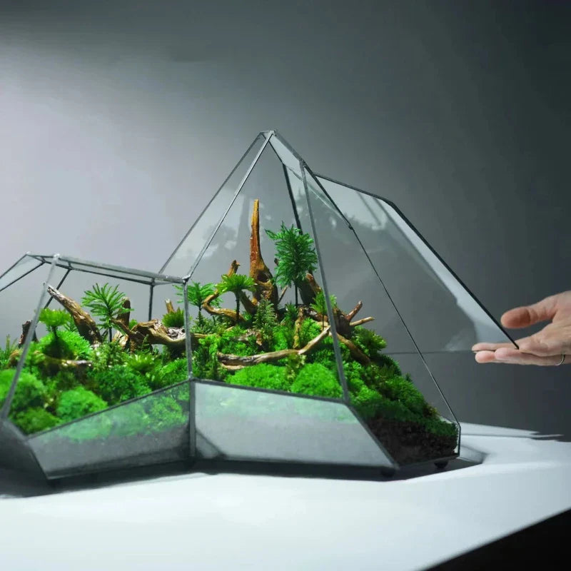 Frendorf | Geometrische Glas Moos Pflanztopf Terrarium Vase
