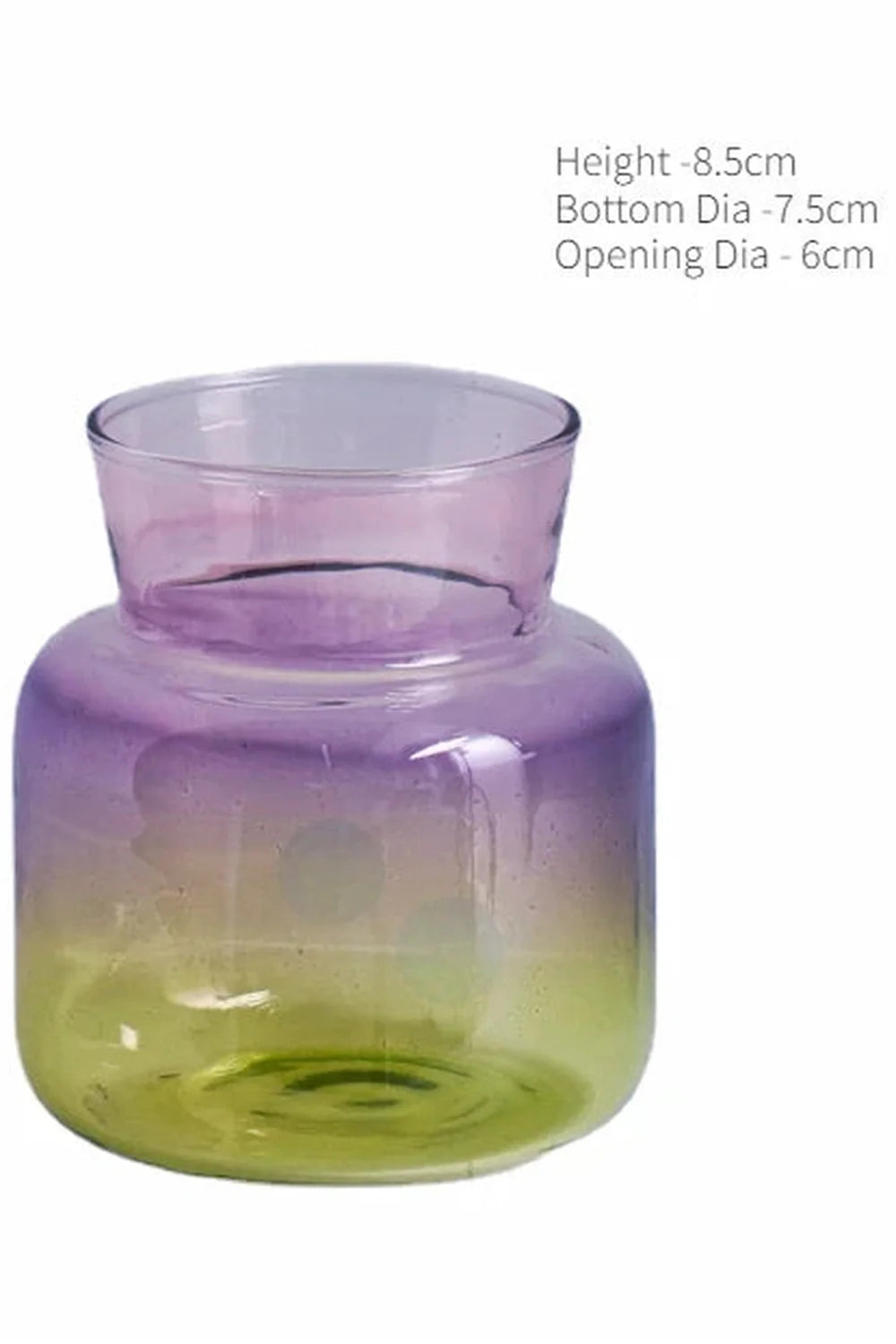 Mini Nordische Dekorative Blumenvase