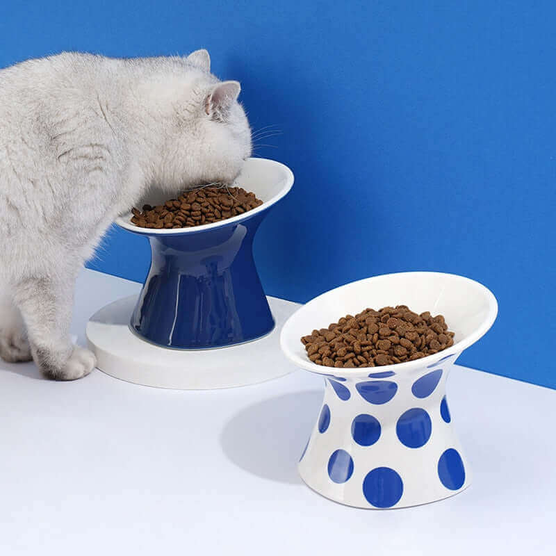 Es ist eine Keramiktasse des Katzenzirkus