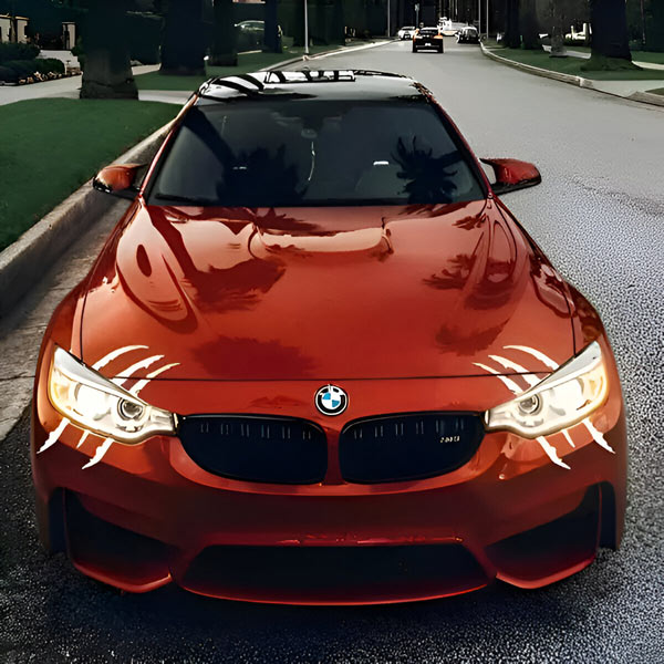 Frendorf | Autokleber Krallen für Autos (2 Stk)