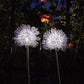 Frendorf | Solaris GlowSphere Gartenleuchte | Aluminiumkugel | LED Solarlicht | Wasserdicht | Warmweiß oder Weiß