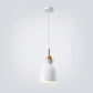 Frendorf | AuroraLite Nordic Pendelleuchte | Metall-Design | 1-Licht | Moderne Farboptionen