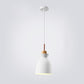 Frendorf | AuroraLite Nordic Pendelleuchte | Metall-Design | 1-Licht | Moderne Farboptionen