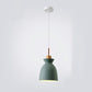 Frendorf | AuroraLite Nordic Pendelleuchte | Metall-Design | 1-Licht | Moderne Farboptionen