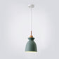 Frendorf | AuroraLite Nordic Pendelleuchte | Metall-Design | 1-Licht | Moderne Farboptionen
