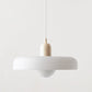 Frendorf |  Pendelleuchte aus farbigem Glas | Elegante Hängeleuchte im Bauhaus-Stil | Designlampe für Wohnzimmer & Esszimmer