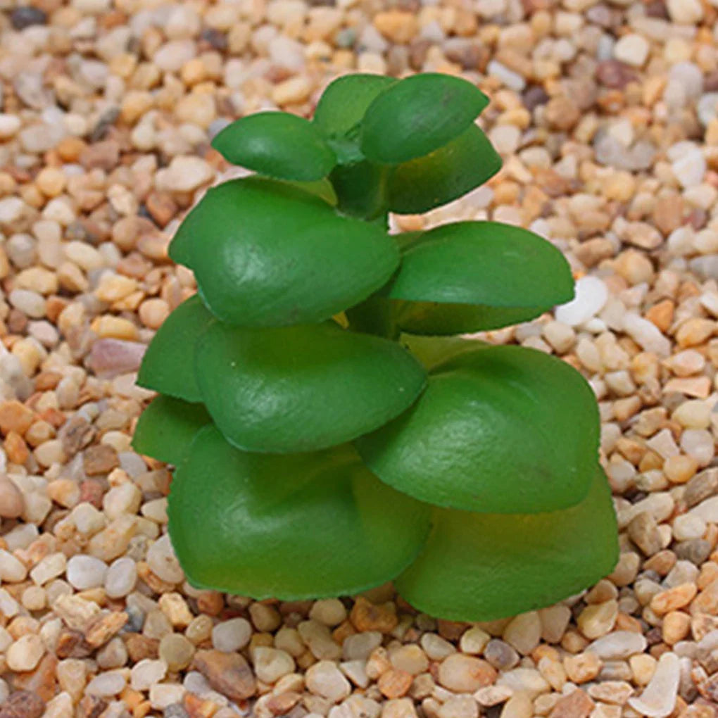 Frendorf | 12 Stück Mini Künstliche Sukkulenten – Farbe Zufällig, Ungepfropfte Simulationspflanzen für Outdoor Garten & Party Dekorationen