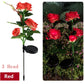 Pfad Solar Blumen Gartenlichter