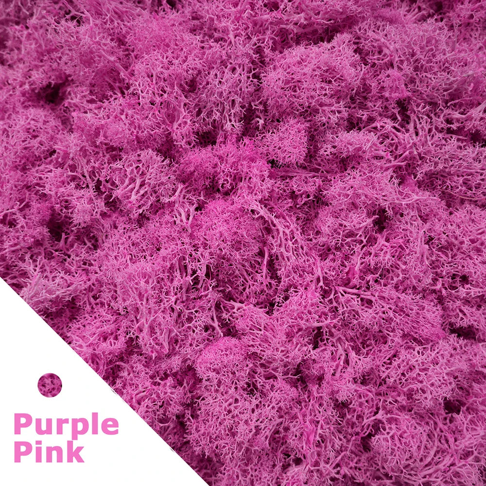 Frendorf | 200g Künstliches Grünes Moosgras – Mini Ewiges Leben Kunstgras für DIY-Basteleien, Haus- & Garten dekoration