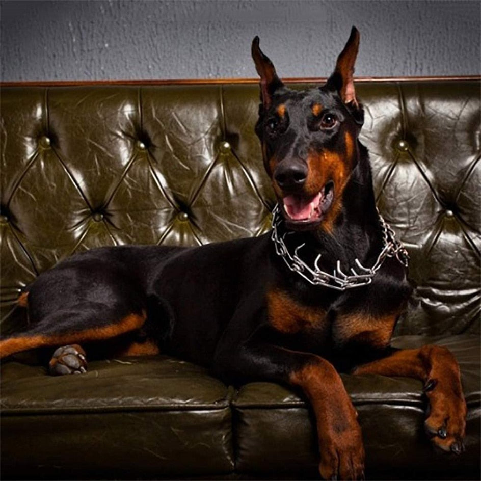 Frendorf | Hund Pincher Halsband - Stil B