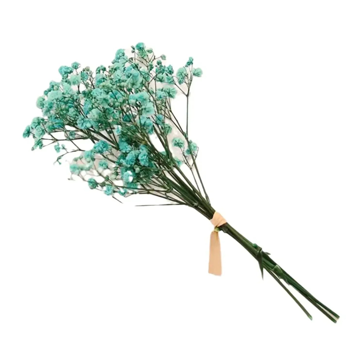 Frendorf | BloomAura Natürliche Getrocknete Schleierkraut-Blüten | Dekorative Trockenblumen | Vielseitige Deko für Zuhause & Events