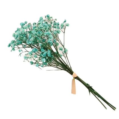 Frendorf | BloomAura Natürliche Getrocknete Schleierkraut-Blüten | Dekorative Trockenblumen | Vielseitige Deko für Zuhause & Events