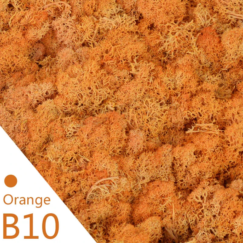 Frendorf | Künstliches Moosgras – 40g/20g Ewiges Lebensmoos für Wohnhausgarten Wanddeko, DIY Mikrolandschaft Zubehör