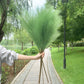 5 Stück 100 cm Künstliches Pampasgras Trockenrohr Blumenstrauß Hochzeitsfeier Dekoration Zuhause Raum DIY Künstliche Pflanzen Dekorationsbedarf