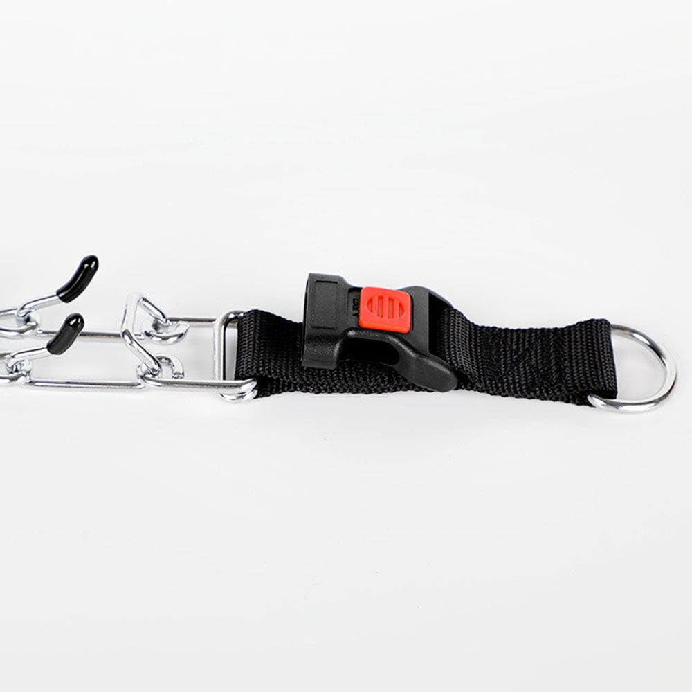 Frendorf | Hund Pincher Halsband - Stil C