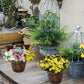 Frendorf | Rustikale Outdoor-Pflanzkübel im Fassstil – Klassische Gartenblumenkübel mit Holzoptik