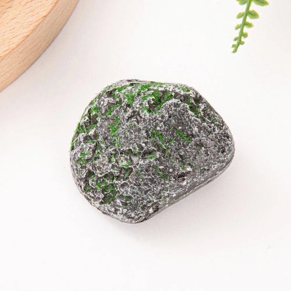 Frendorf | 10PCS Moosgrau Stein Mehrere Formen Pflanzmoos Blöcke – DIY Simulation Grünpflanzen für Gartendekoration