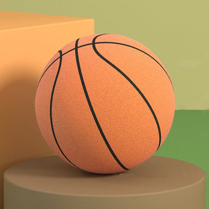 Frendorf | Indoor Silent Basketball