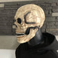 Frendorf | Beweglicher Kiefer Realistische Vollkopf-Schädelmaske - Menschliches Skelettmaske für Halloween-Party