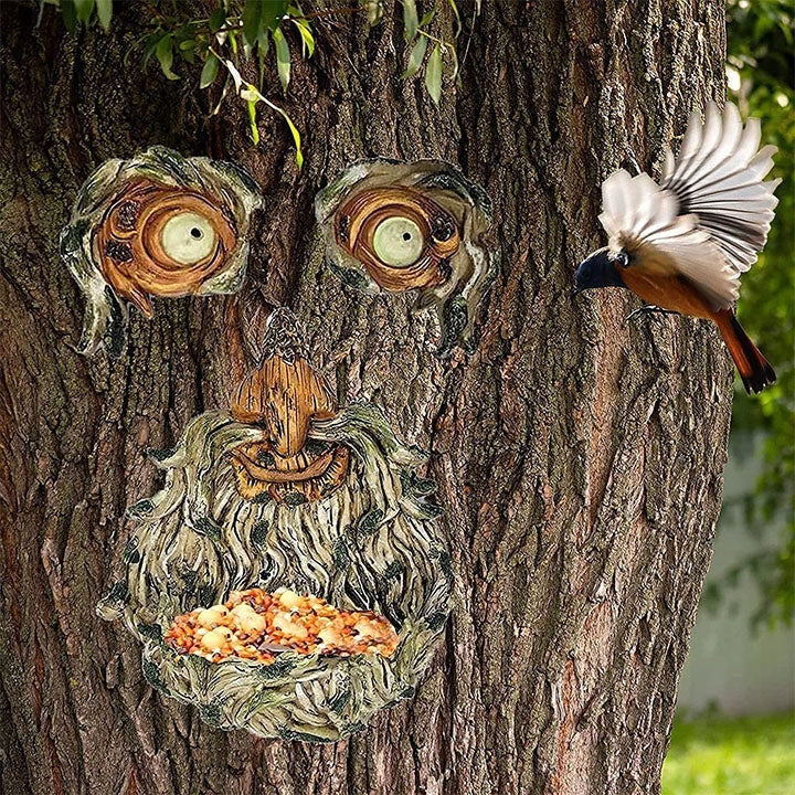 Augen der Natur: Baumgesicht Vogelfutterstation