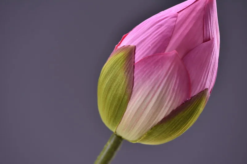 Frendorf | Künstliche Lotusknospenblume