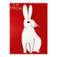 David Shrigley Rabbit Cat Wine Biscuit Train Wall Art Abstract Prints Canvas Painting Nordic Poster Pictures Living Room Decor