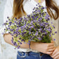 Frendorf | 1 Bundle Gypsophila Künstliche Blumen – Hochzeitsdeko Plastikblumen Vase für Zuhause, Party & Veranstaltungsdekorationen