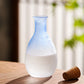 Mizu Glas Sake Set