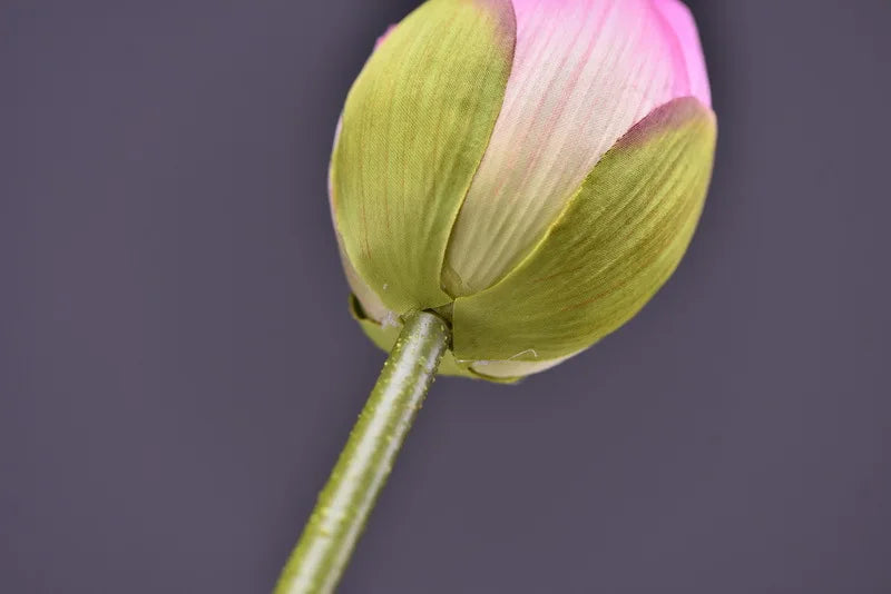 Frendorf | Künstliche Lotusknospenblume