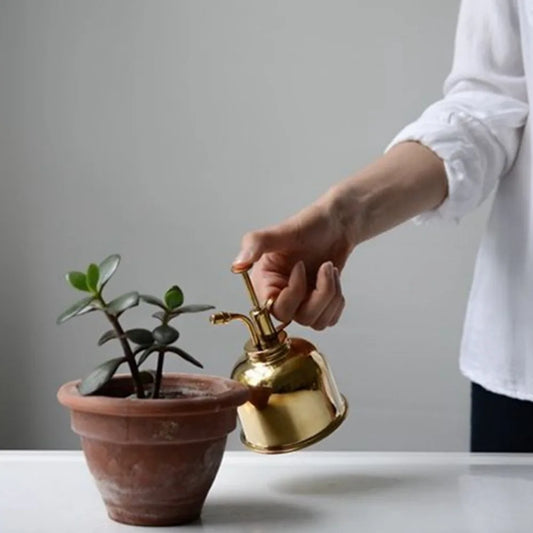 Frendorf | PlantLuxe Premium Pflanzensprüher | Goldene Sprühflasche für Pflanzenpflege | Stilvolles Zubehör für Zimmerpflanzen