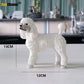 Mode Hund Modell Simulation Tier Kollektion Dekoration Handwerkskunst Figuren Miniaturen Wandbilder Zubehör Einrichtung Modelle