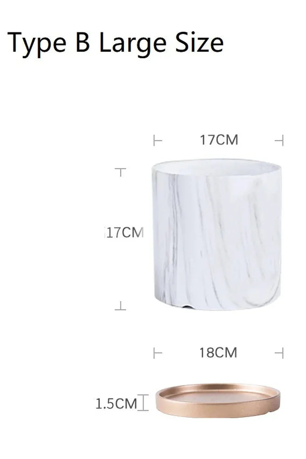 Marmor Goldblatt Pflanzen Topf Set