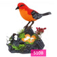 Frendorf | Singing Bird Wohnkultur