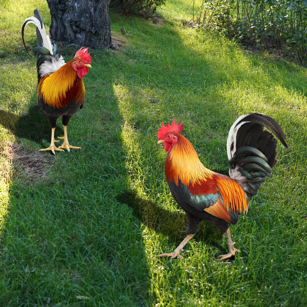 Gartenfigur: Gefiederte Schönheit