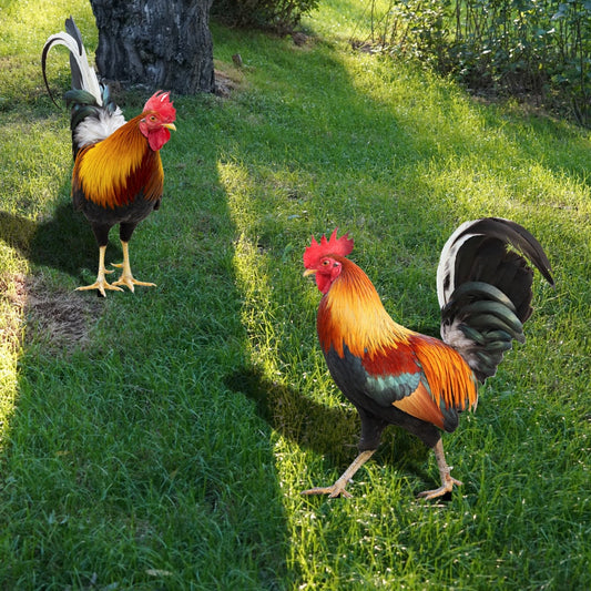 Gartenfigur: Gefiederte Schönheit