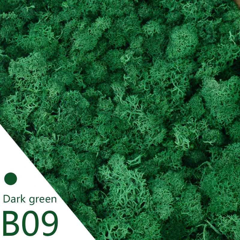 Frendorf | Künstliches Moosgras – 40g/20g Ewiges Lebensmoos für Wohnhausgarten Wanddeko, DIY Mikrolandschaft Zubehör