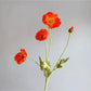 Seiden-Poppy Künstliche Blumen