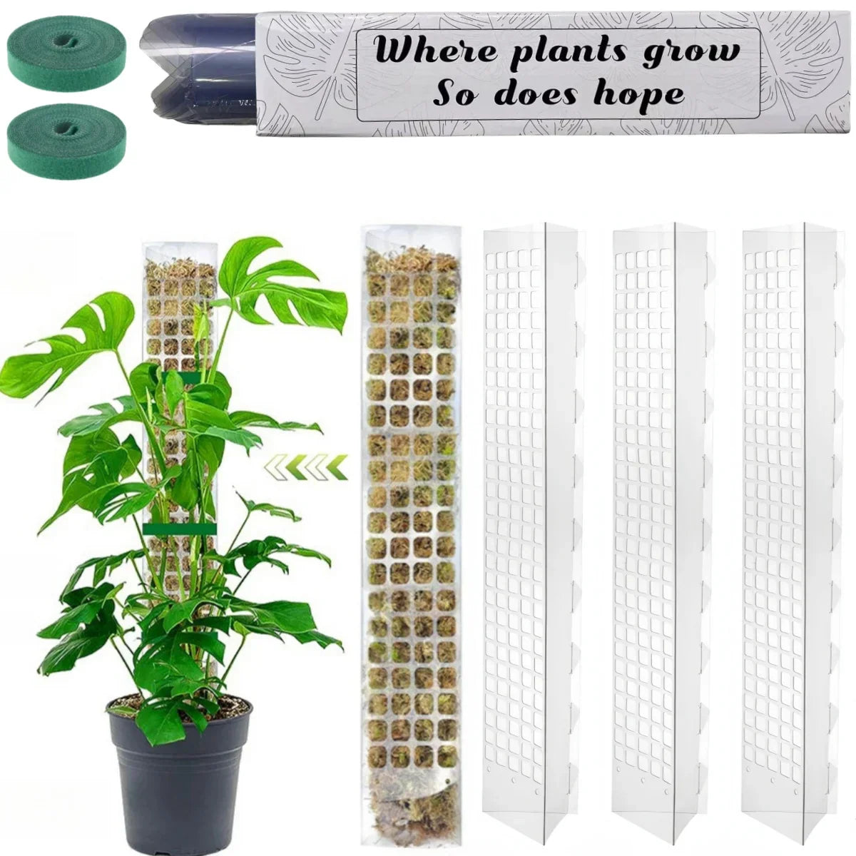 Frendorf | GrowMaster ClimbaLeaf Moosstab-Set | Transparent & Flexibel | Für Kletterpflanzen | Fördert Vertikales Wachstum