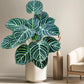 Frendorf | 105 cm künstlicher Fiddle Leaf Baum – Apfelblatt-Seidenpflanze für Zuhause, Büro & Jubiläumsdekoration – Topf, Bodenauslage