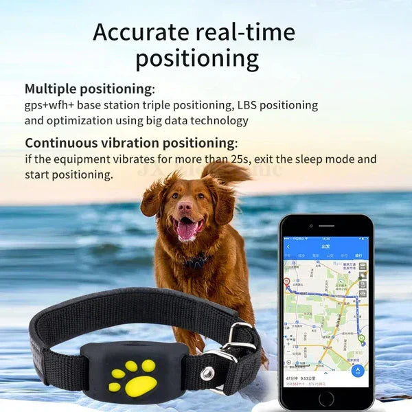 Frendorf | Max GPS Tracker – Für sichere Abenteuer