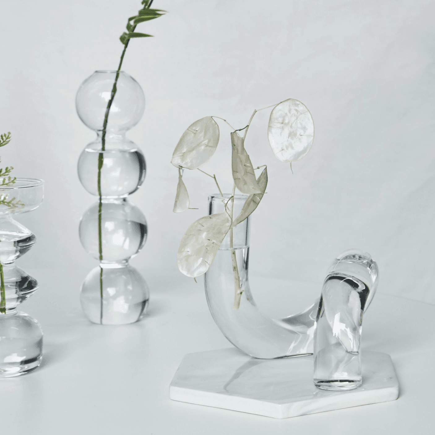 Frendorf | LoopSphere Hydroponik Vase im Kreisdesign | Modernes Pflanzgefäß | Minimalistische Dekoration | Für Zuhause oder Büro