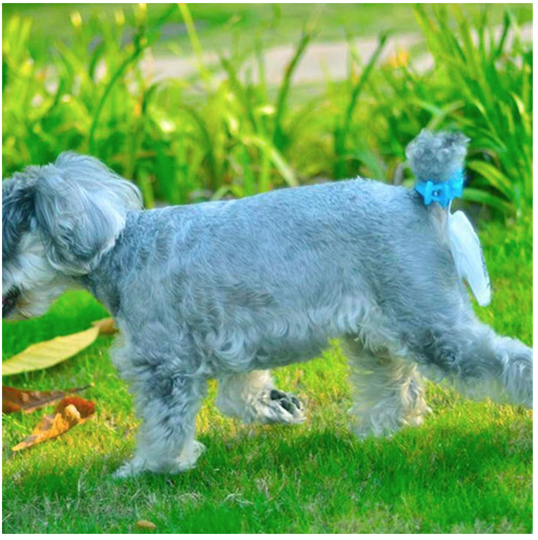 Frendorf | Automatischer Hundekot-Sammler