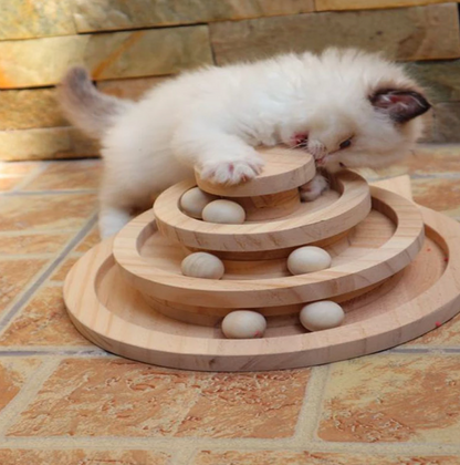 Frendorf |  Holzkugel & Laufbahn Katzenspiel