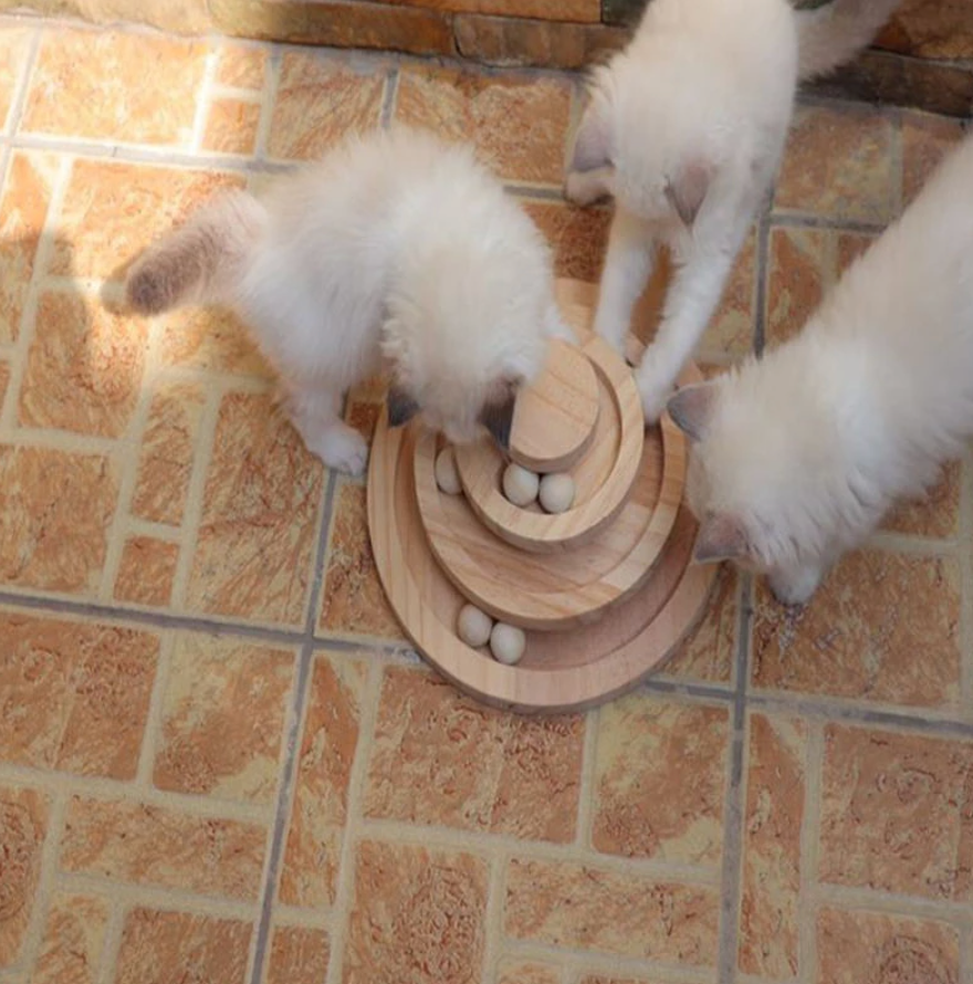 Frendorf |  Holzkugel & Laufbahn Katzenspiel