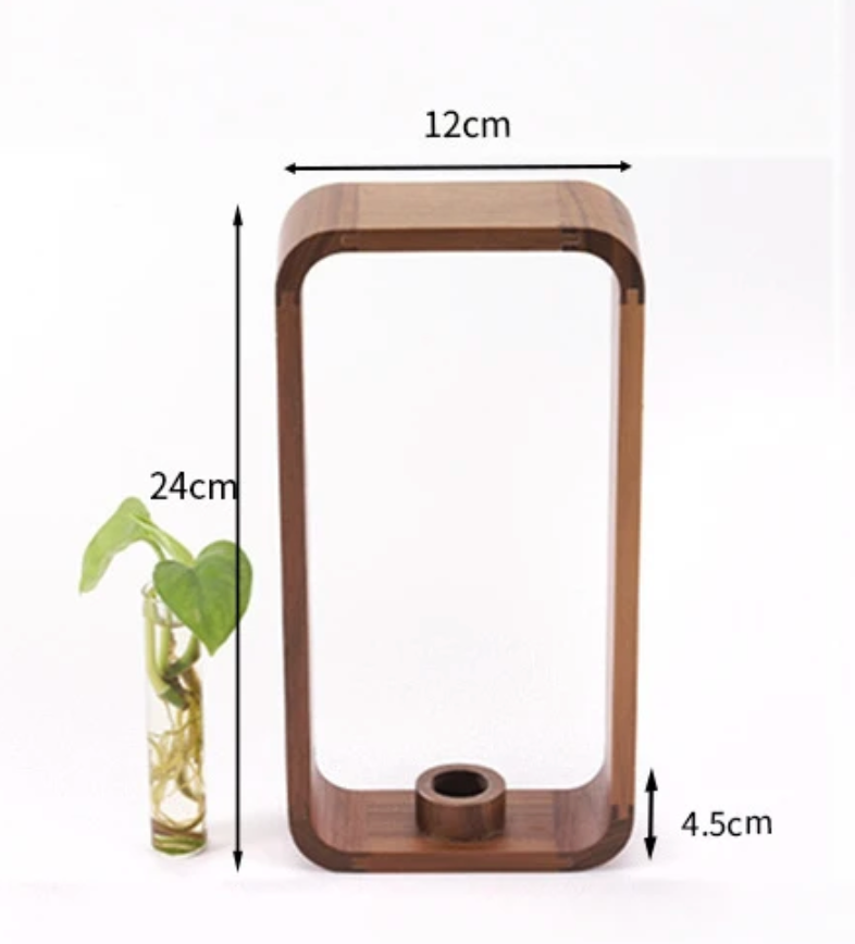 Frendorf | PlantSphere Hohler Pflanzenvermehrer | Dekorative Pflanzenzuchtstation | Perfekt für Zuhause & Büro